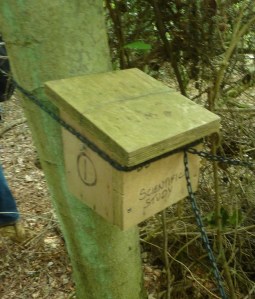 dormice box