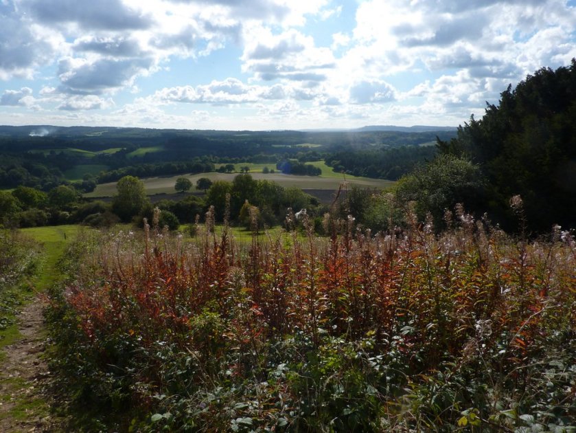 Newlands Corner