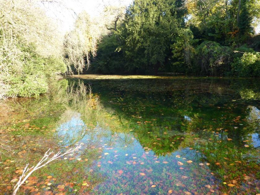 Silent Pool - crystal clear water