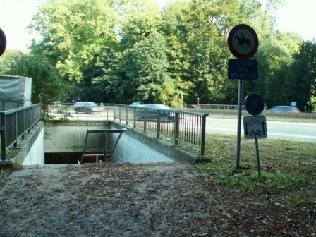 Dreve de la Bonne OdeurCopyright Bernard Frippiat