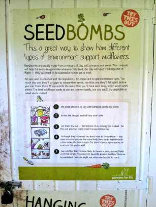 seedbomb