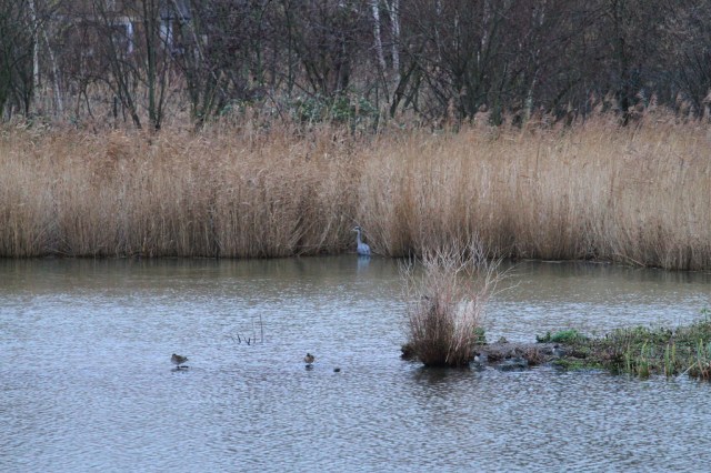 12171532946_2e383a00df_b