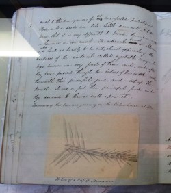 IMG_20140124_152409