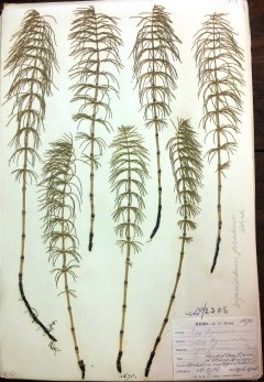 IMG_20140125_111907 - Copy