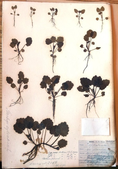 IMG_20140125_131459 - Copy