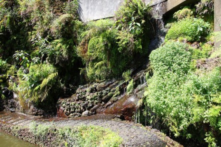 13939345820_836004b6f5_z