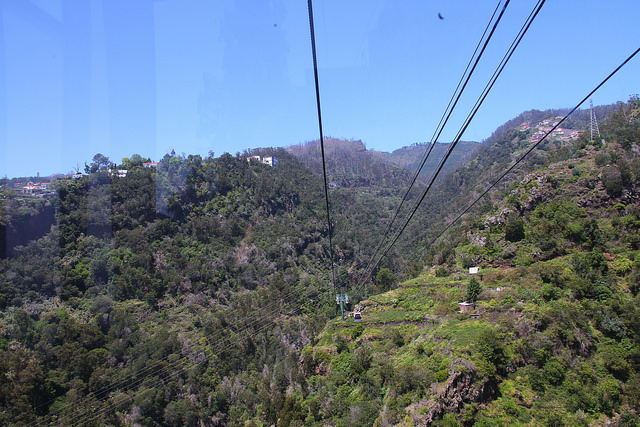 14123033362_96ae2ef93d_z