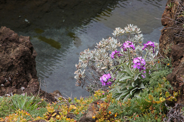 14335915585_778f2fb3b2_z