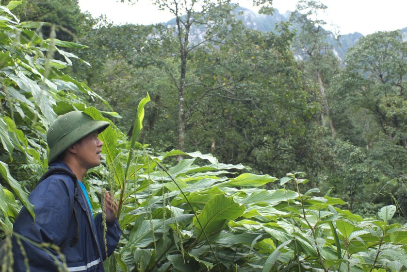 14924759133_0e6942f29e_b