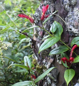 15358300279_5b2d8a5bcb_b