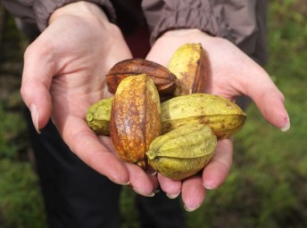 14924938363_da6fd5bf86_o