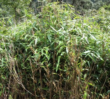 15358494059_fca49bbe3e_b