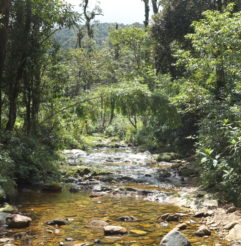 15542450031_7d65cd1c6b_o