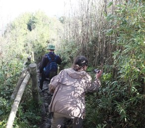 15550035976_e1c2c72b2f_z