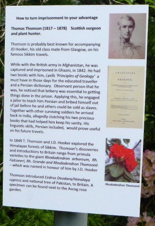 Story of Thomas Thomson, plant hunter