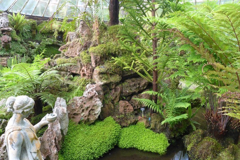 Sunken fernery (14)