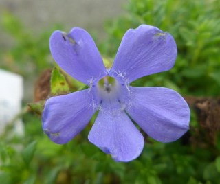 14913416077_29ba281312_z