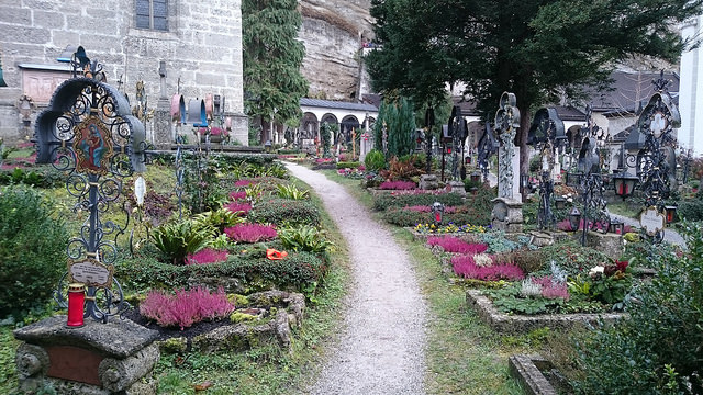 23495105554_fd8c1340e1_z