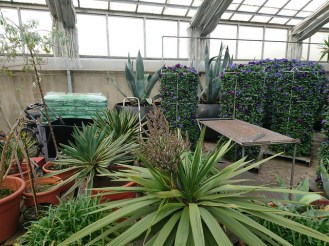 32978419994_c0e3621e21_z