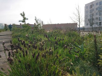 33007707223_edcdae265e_z