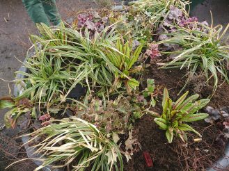 33436181200_f0a3cbfd7b_z