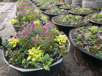 33664650922_5ea4a93147_z