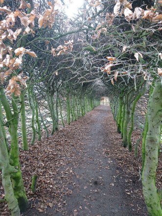 33691614801_d174f926d0_z