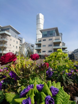 33692449731_56b101558e_z