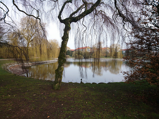 33692557211_45fd5ccee2_z