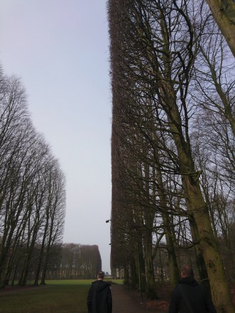 33821867335_0561067355_z