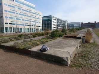 33821935985_03cdbcf82c_z