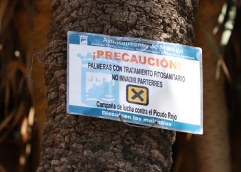 IMG_3933 Palm weevil treatment sign (Copy).JPG