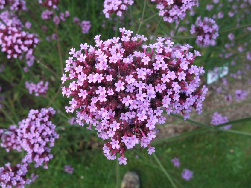 8473747021_09af147f97_k